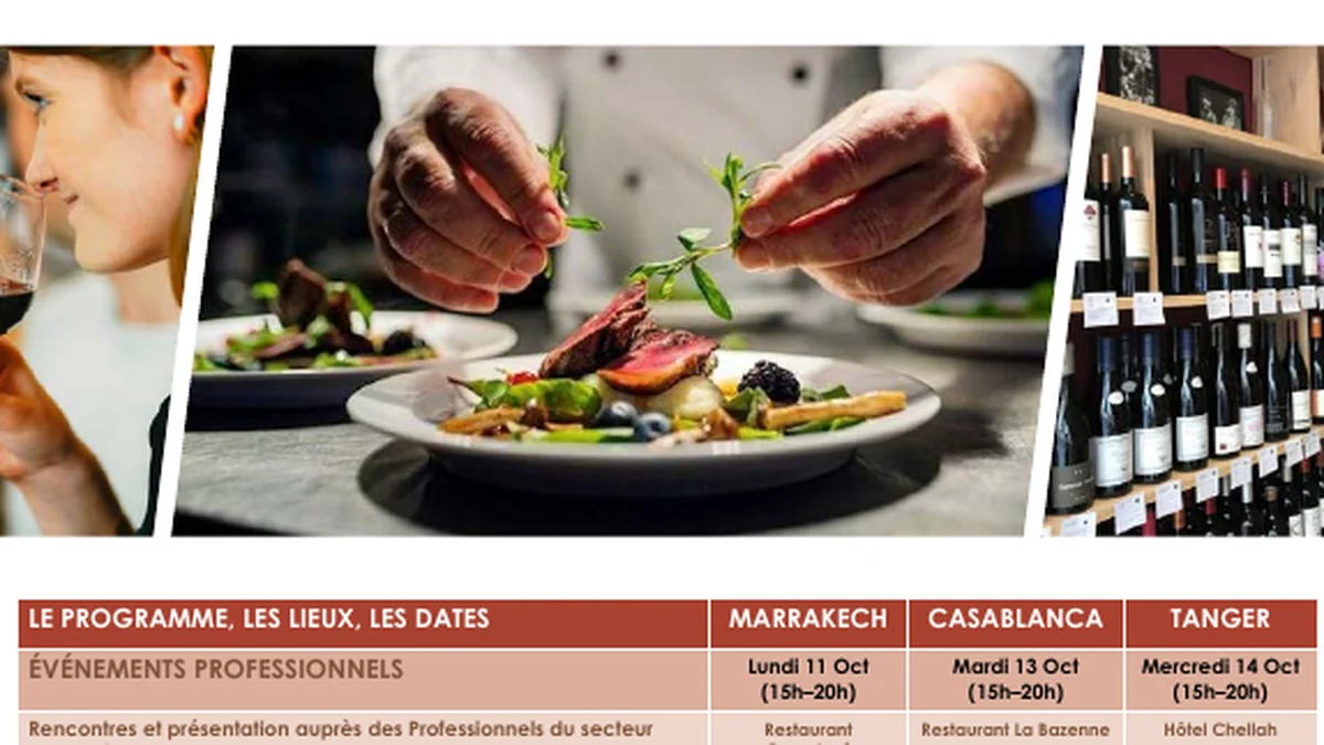 Dégustation de vin, gastronomie et sélection en cave