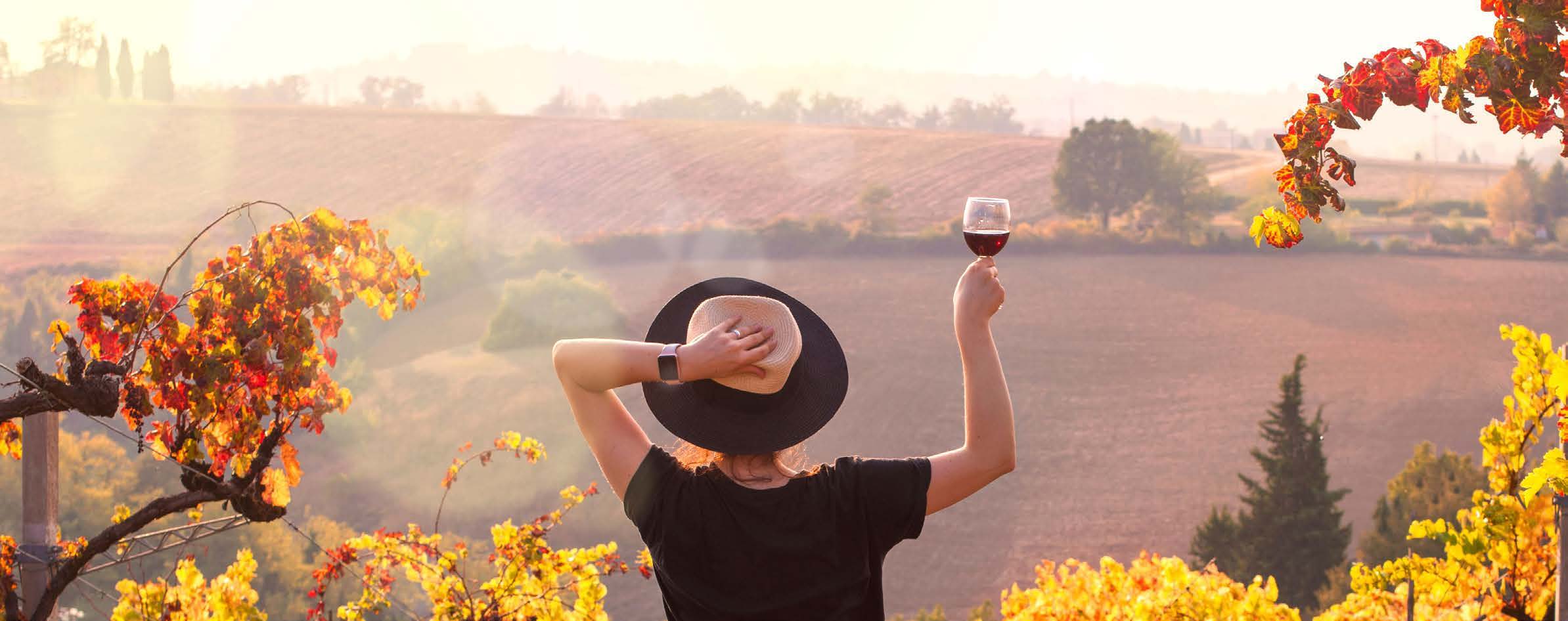 Dégustation d’un verre de vin au milieu des vignes