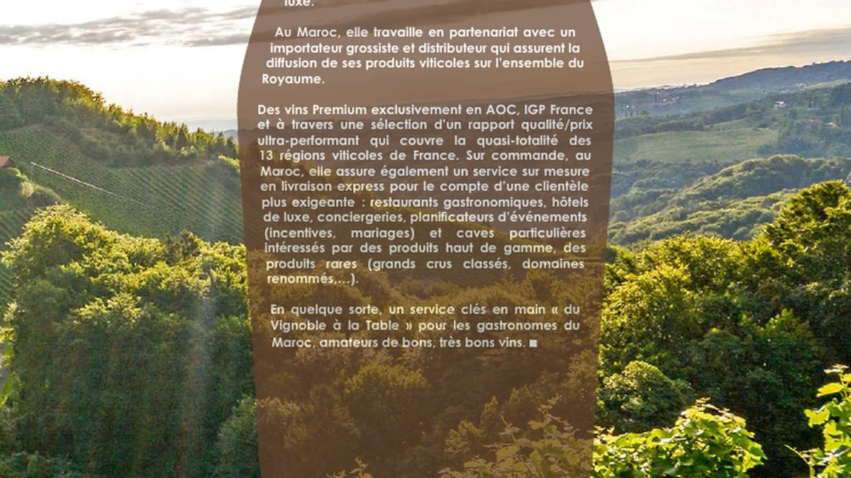 Vignoble français illustrant l’entretien avec Jérôme Bultez