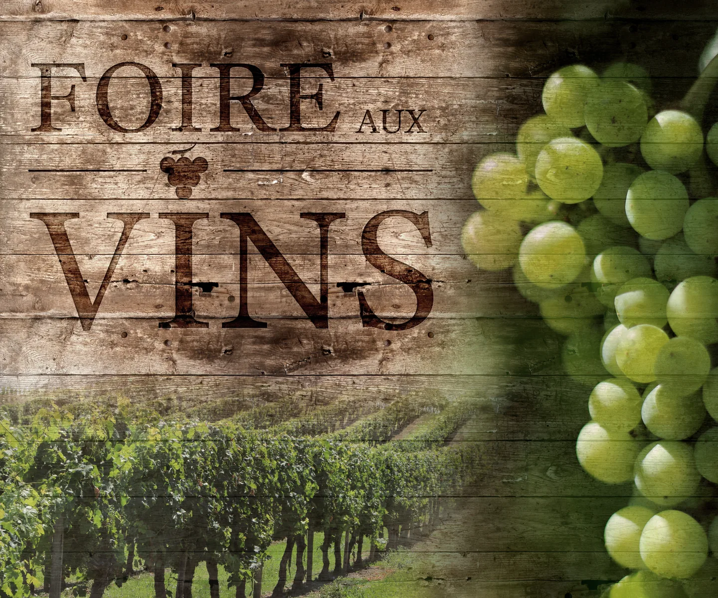 Foire aux vins et ventes groupées au Maroc