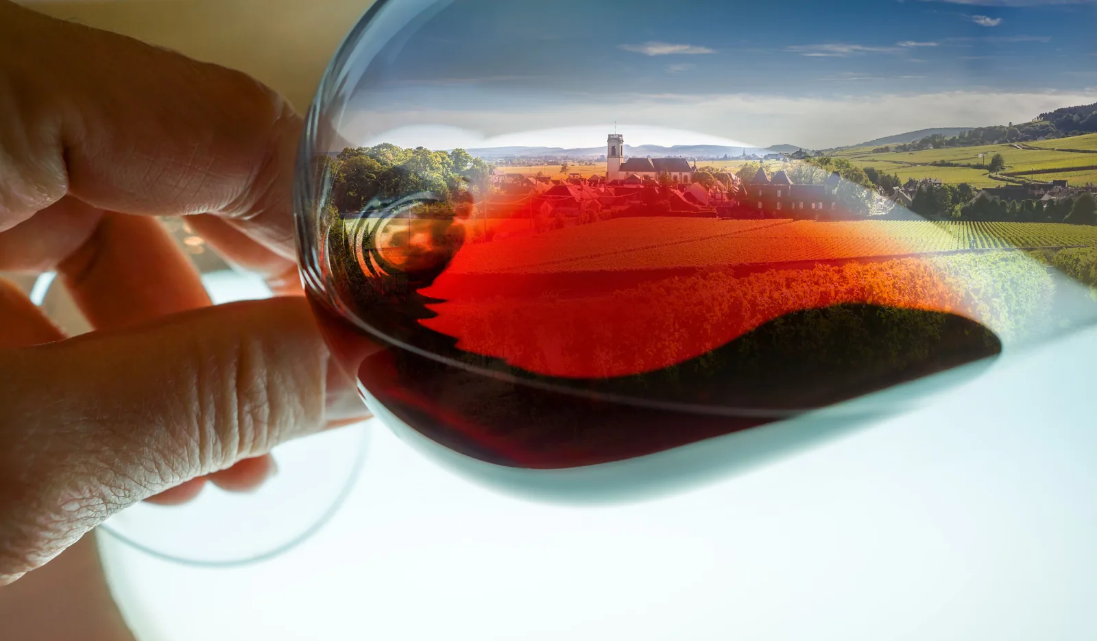 Commande de vins en direct de la propriété avec Vinéa