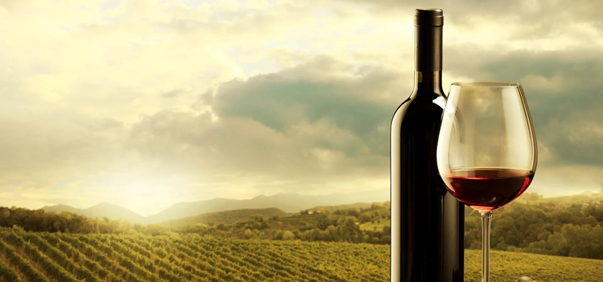 Vins et terroirs de France